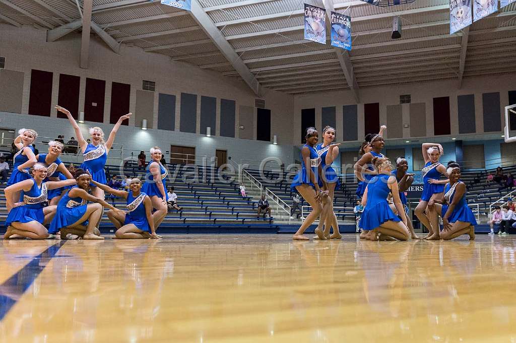 Blue Belles Halftime 56.jpg